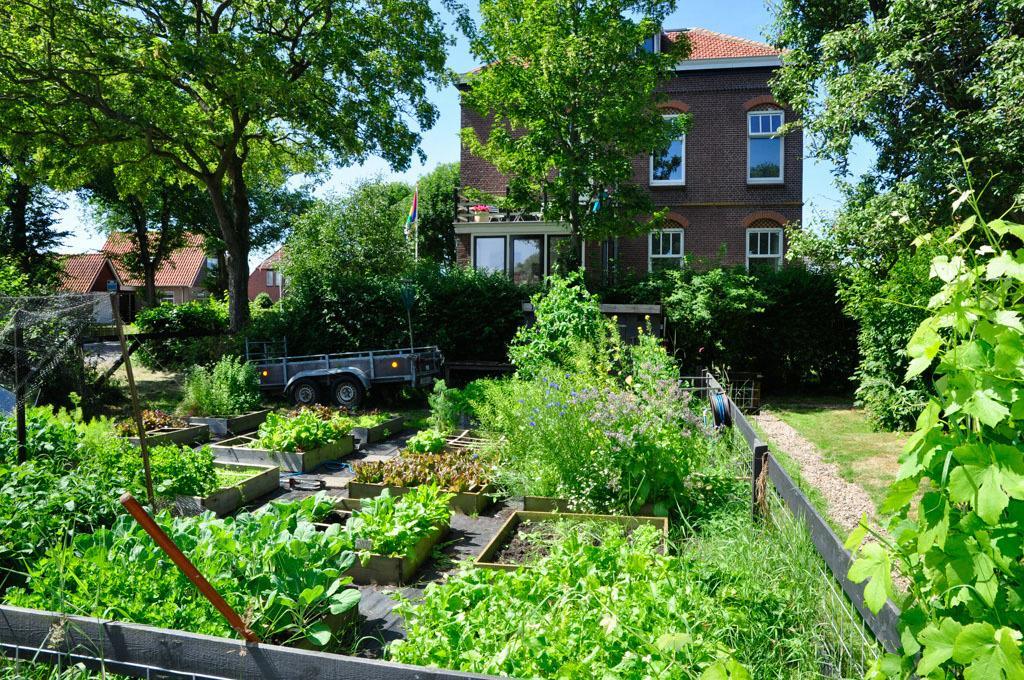 B&B De Postoari Terschelling Hoorn  ภายนอก รูปภาพ