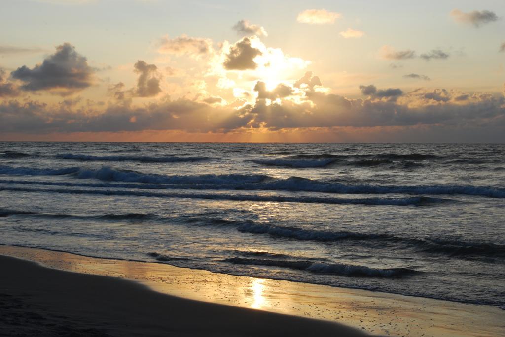B&B De Postoari Terschelling Hoorn  ภายนอก รูปภาพ